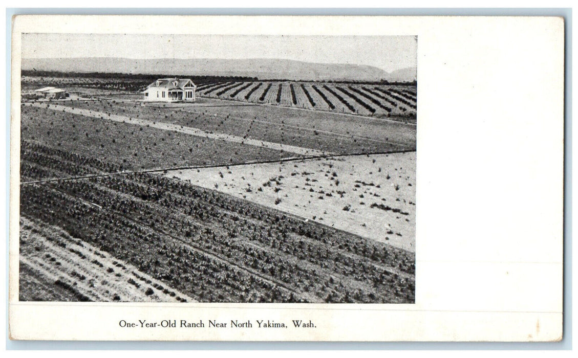 c1905 One Year Old Ranch Near North Yakima Washington WA Unposted Postcard