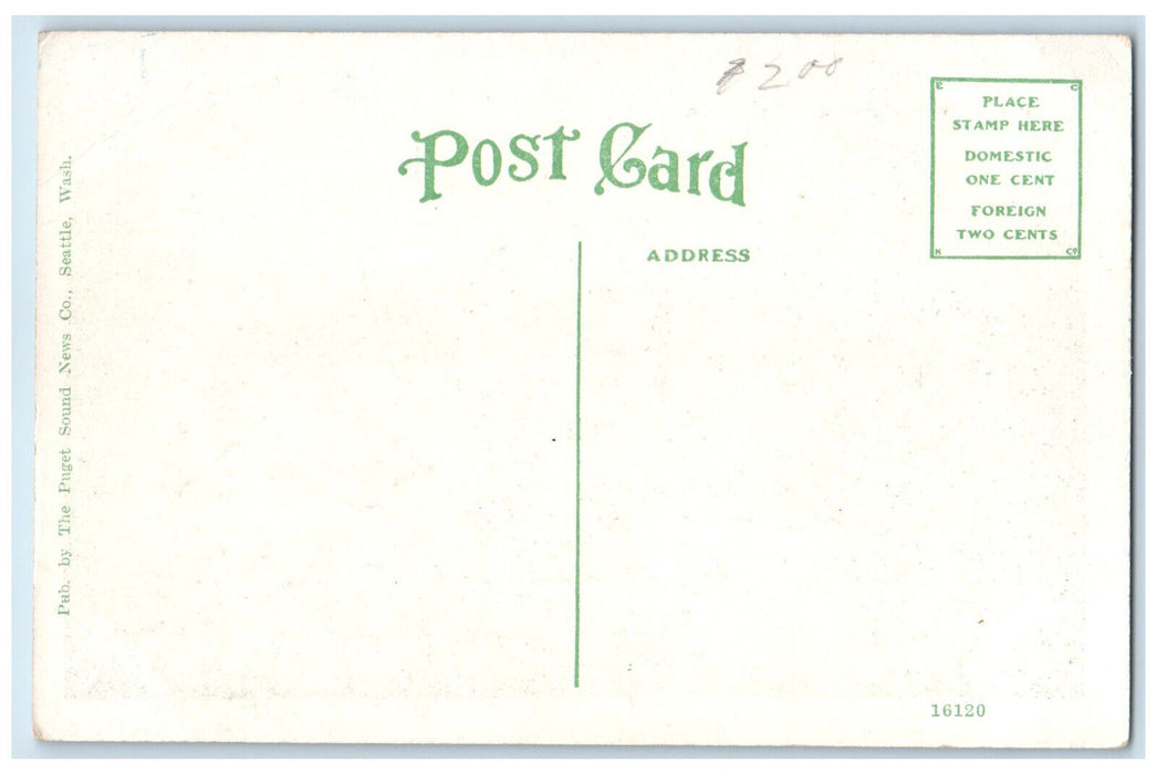c1920's Scene of Kids Parents in Playground Seattle Washington WA Postcard