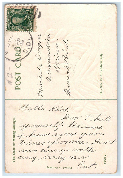 1908 Mother And Daughter Daisy Flower Embossed Alexandria Minnesota MN Postcard