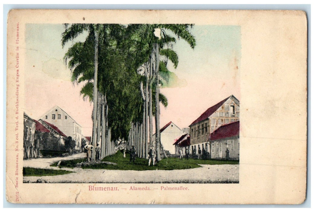 c1905 Trees Houses Alameda Palmenallee Blumenau Brazil Unposted Antique Postcard