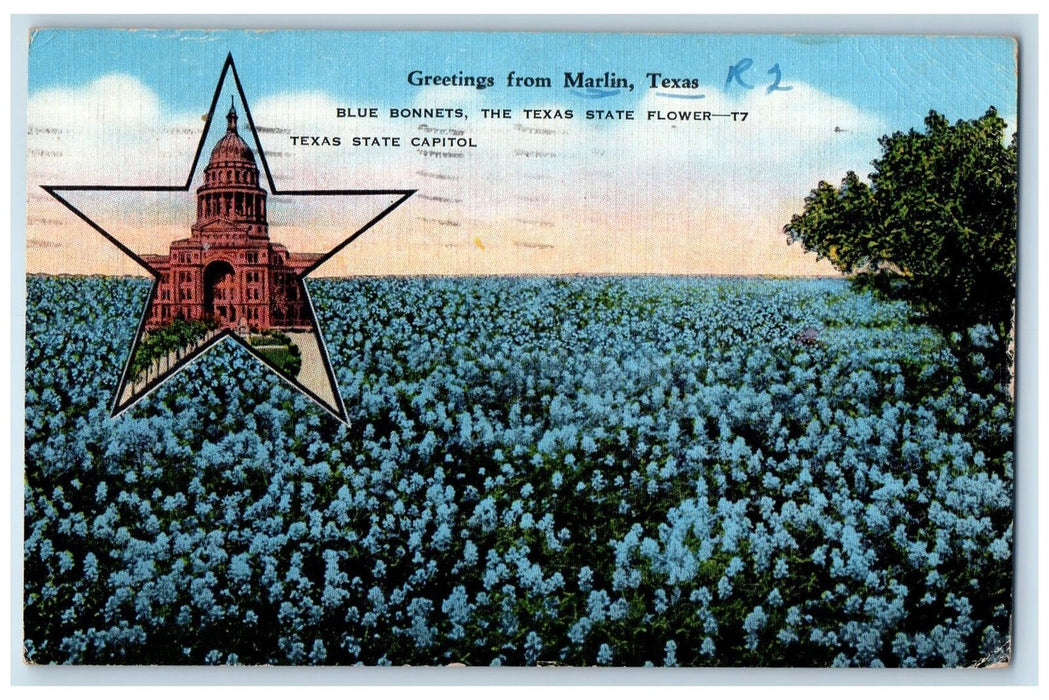 1948 Greetings From Marlin Blue Bonnets Texas State Capitol Texas TX Postcard