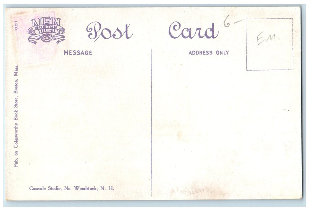 c1920 Main Street Common Dirt Road Park Shade Plymouth New Hampshire NH Postcard