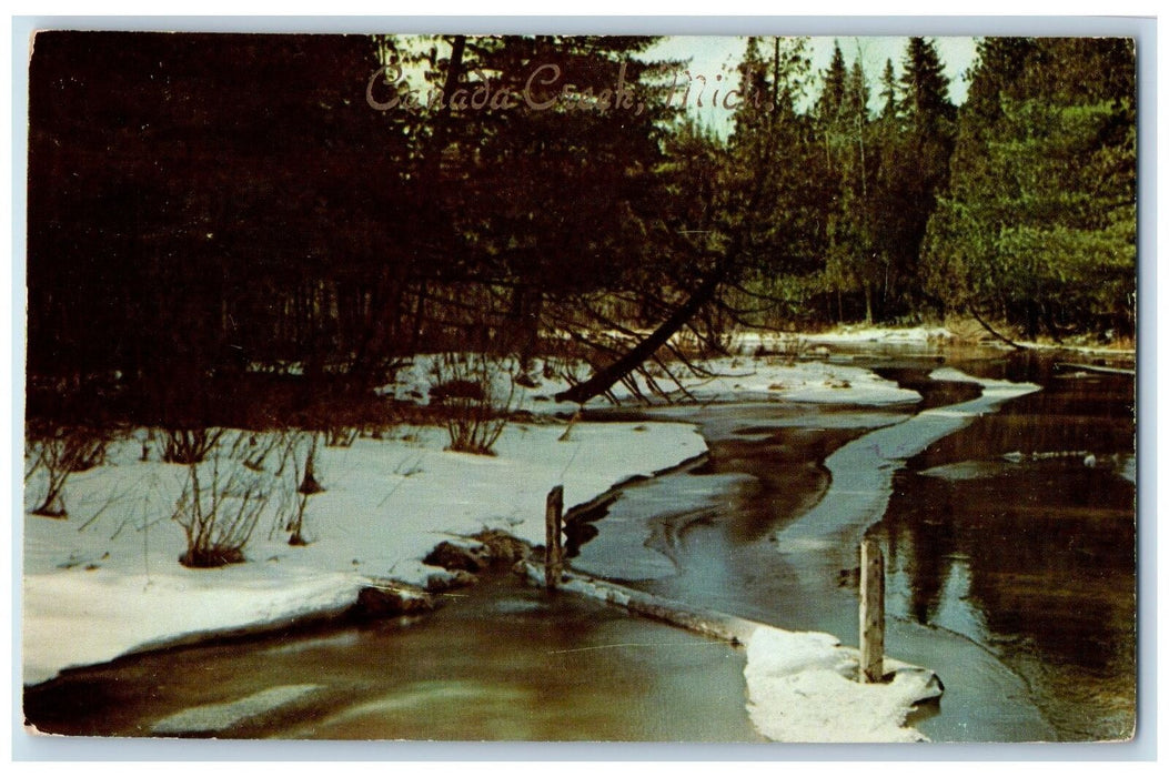 1961 View Of Winter Beauty On Canada Creek Ranch Atlanta Michigan MI Postcard