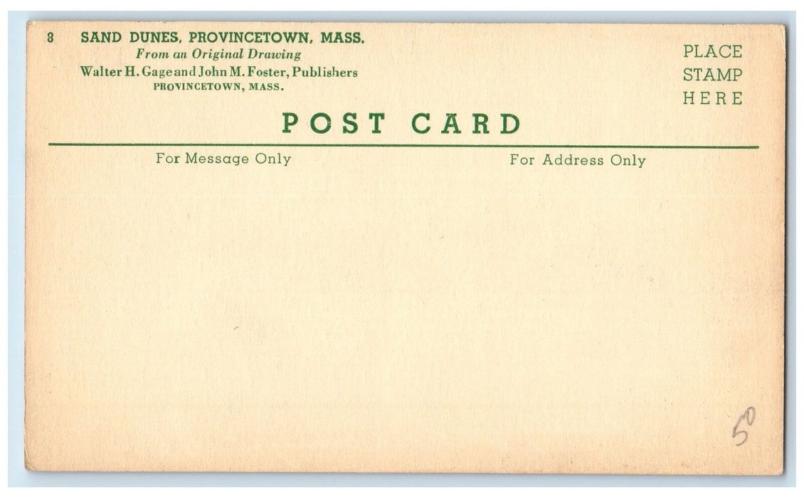 c1905 Sand Dunes View Provincetown Massachusetts MA Antique Unposted Postcard