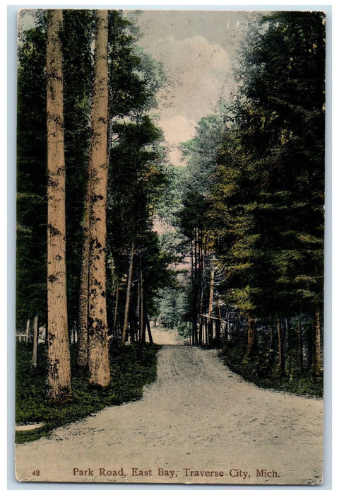 1909 Park Road East Bay Nature Scene Traverse City Michigan MI Antique Postcard