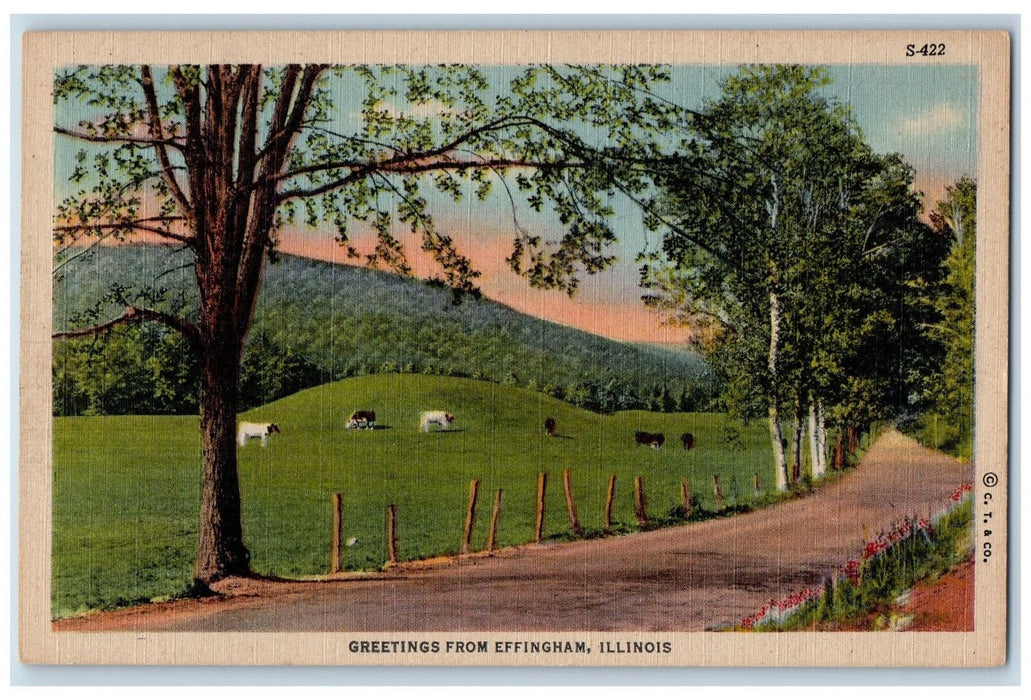 Greetings From Effingham Illinois IL, Tree-lined Animals Nature Scene Postcard