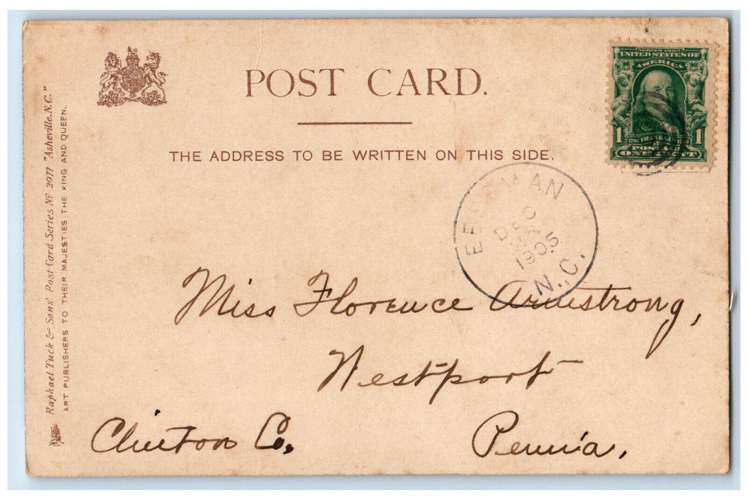 1905 Greetings From Ashevillle The Beautiful Swannanoa NC Tuck's  Postcard