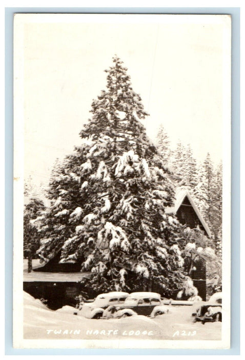 1945 Twain Harte Lodge Snow Covered Tree California CA RPPC Photo Postcard