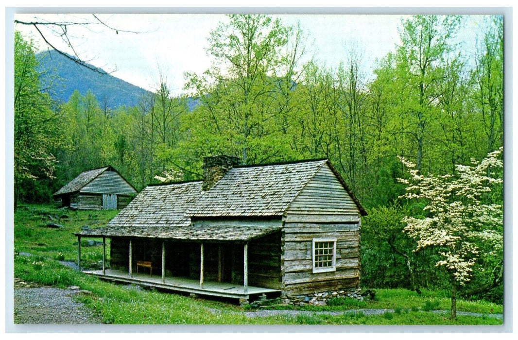 Junglebrook Restored Mountain Farmstead Great Smoky Mts. Nat'l Park Postcard