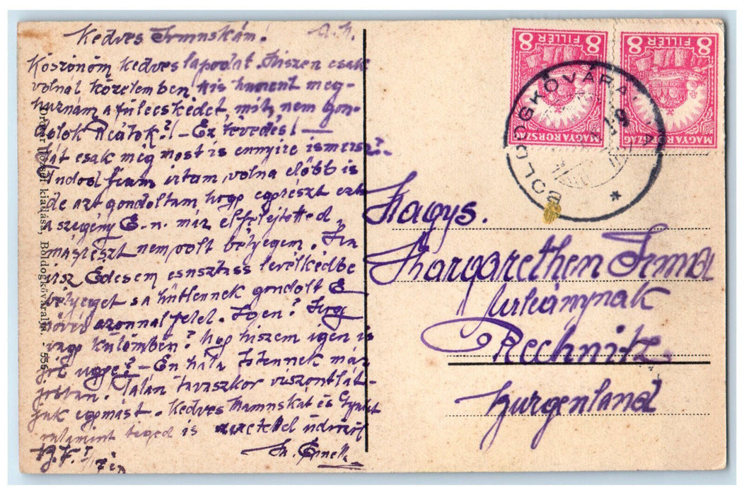 c1910 Boldogkovaralja Village Detail Borsod-Abaúj-Zemplén Hungary Postcard