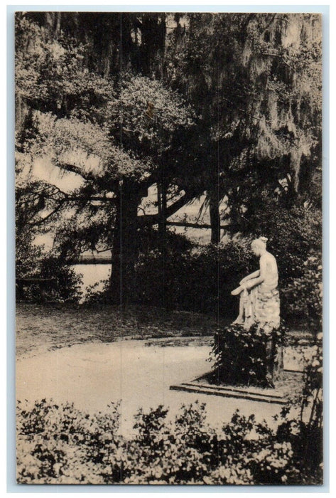 Statue By Schadow Middleton Charleston South Carolina SC Vintage Postcard