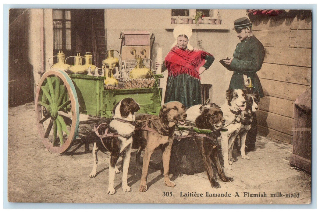 c1910 Laitiere Flamande A Flemish Milk-Maid Belgium Antique Postcard