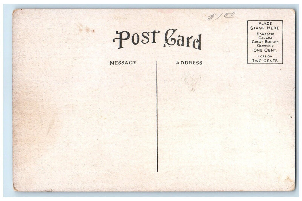 c1910 Scene Antelope Park Lincoln Nebraska NE Vintage Antique Unposted Postcard