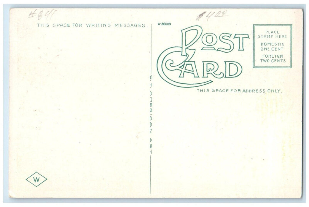 c1920 Second Street Night Moon Moonlight Hastings Nebraska NE Unposted Postcard