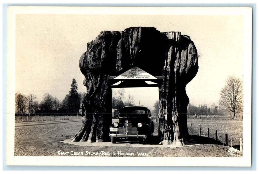 c1940s Giant Cedar Stump Pacific Highway Washington WA Ellis RPPC Photo Postcard