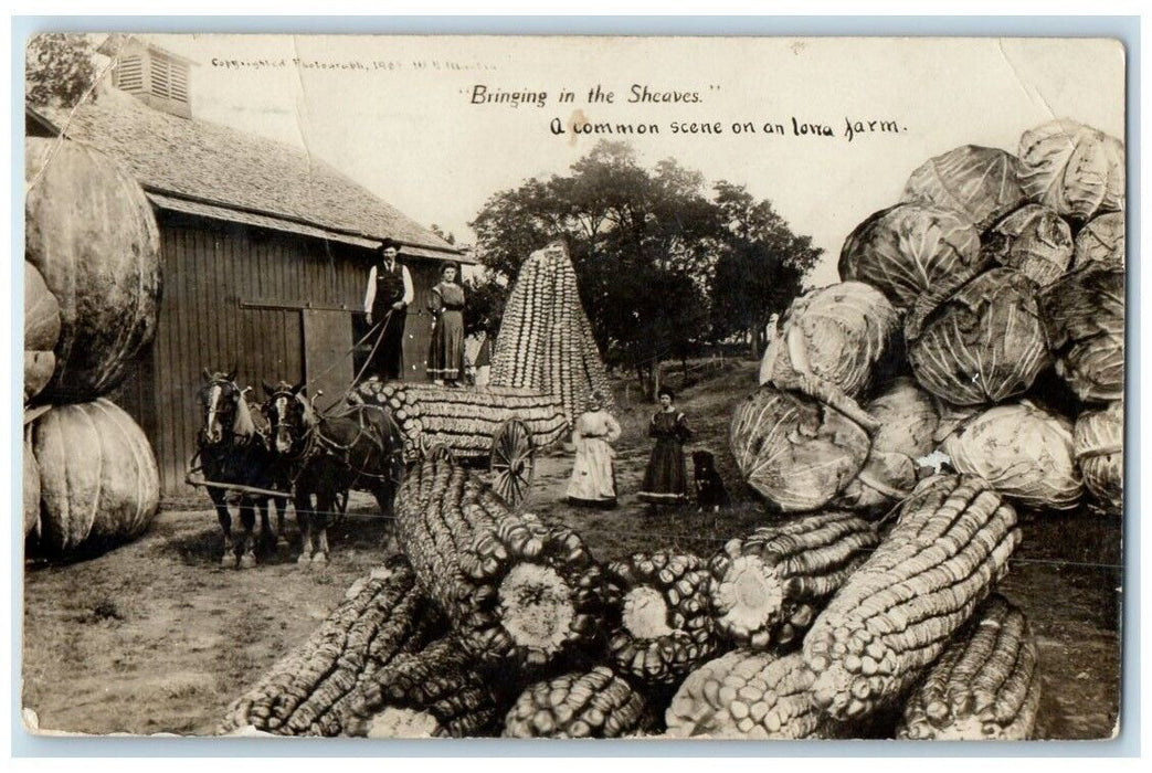 1910 Exaggerated Corn Cabbage Sheaves Horse Women Ottumwa IA RPPC Photo Postcard