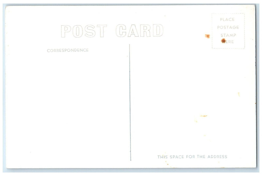 Lady General Washington Tree Kings Canyon National Park CA RPPC Photo Postcard