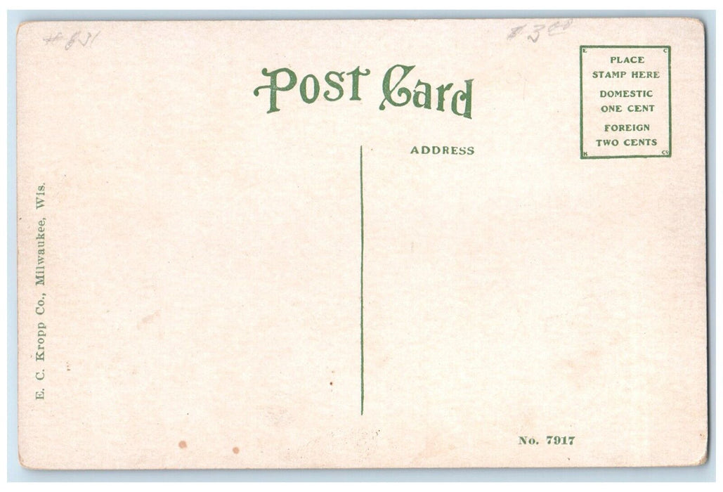 c1910 Whaleback Steamer Christopher Columbus Buffalo Bridge Milwaukee Postcard