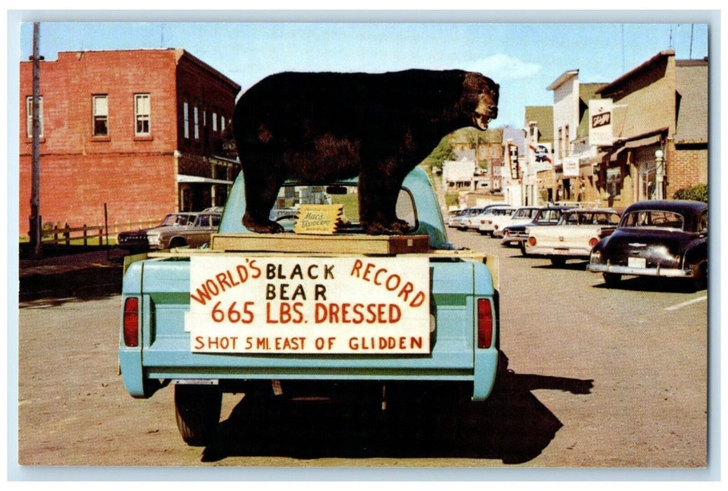 c1960 World's Record Black Bear Milwaukee Hunters Glidden Wisconsin WI Postcard