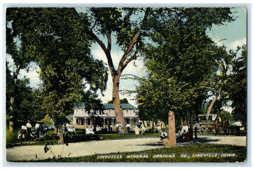 c1910 Lineville Mineral Springs Co Trees Horse Carriage Lineville Iowa Postcard