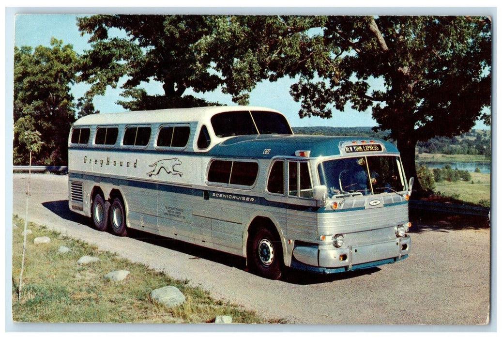 1953 The Greyhound Scenicruiser Dual Level Bus Lake Alfred Florida FL Postcard