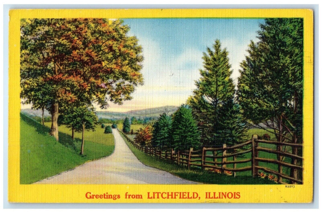 1955 Greetings From Fence Road Tree Litchfield Illinois Vintage Antique Postcard