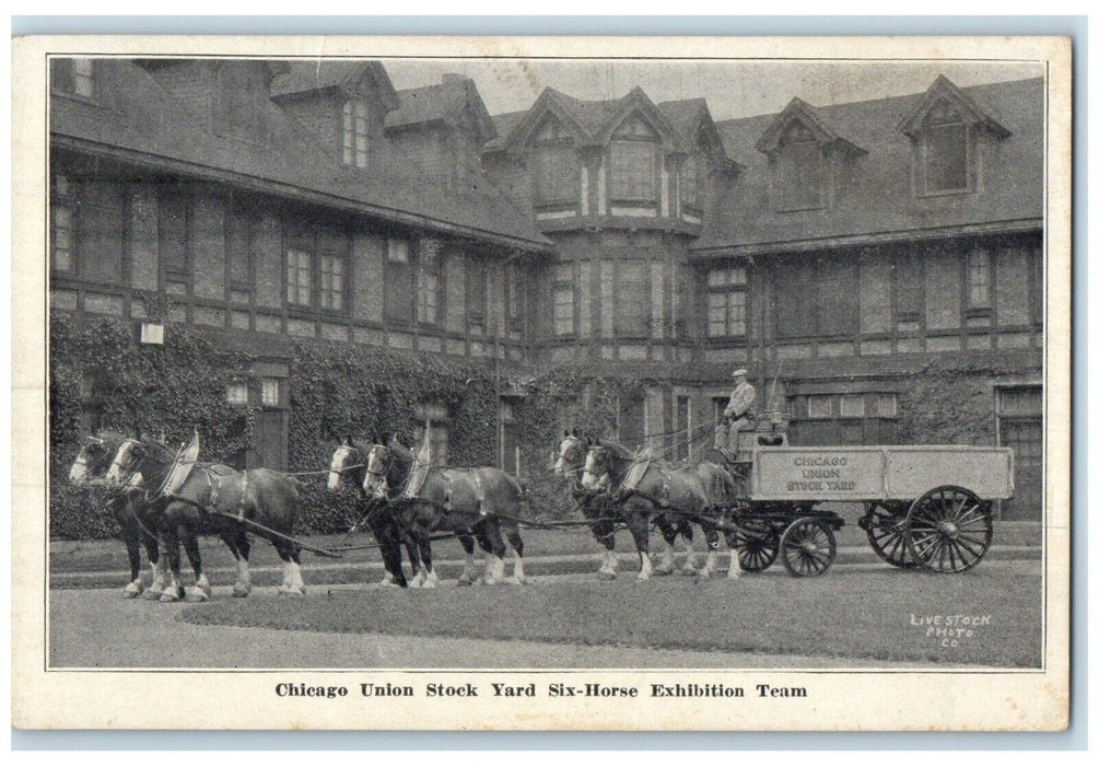 c1910 Chicago Union Stock Yard Six Horse Exhibition Team Illinois IL Postcard