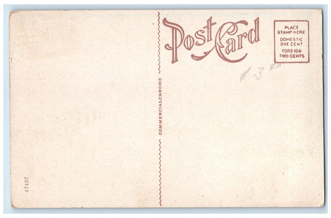 c1930's Midway Hotel Building Statue Kearney Nebraska NE Vintage Postcard