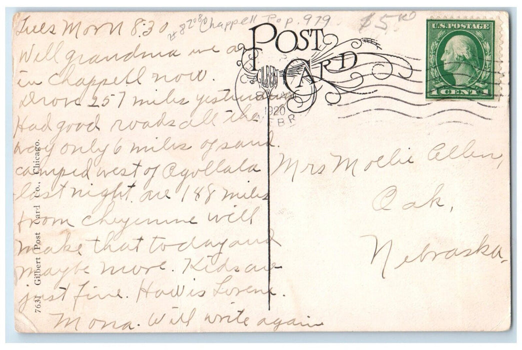 1920 First National Bank Scene Street Chappell Nebraska NE Vintage Postcard