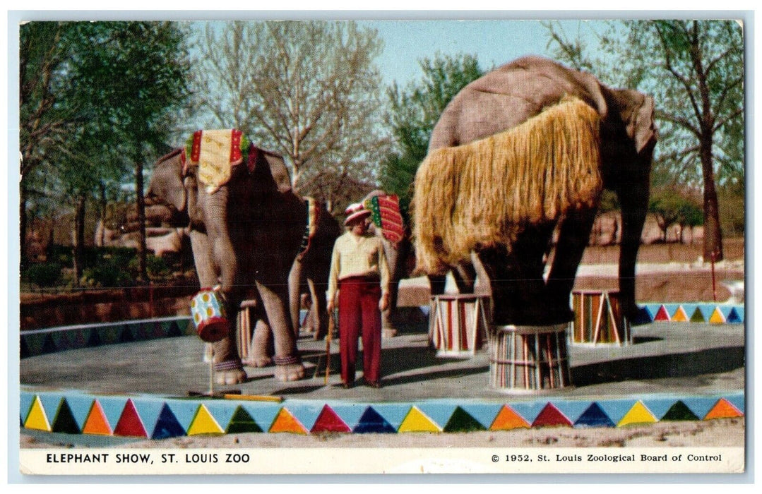 1954 Elephant Show St. Louis Zoo Saint Louis Missouri MO Posted Vintage Postcard