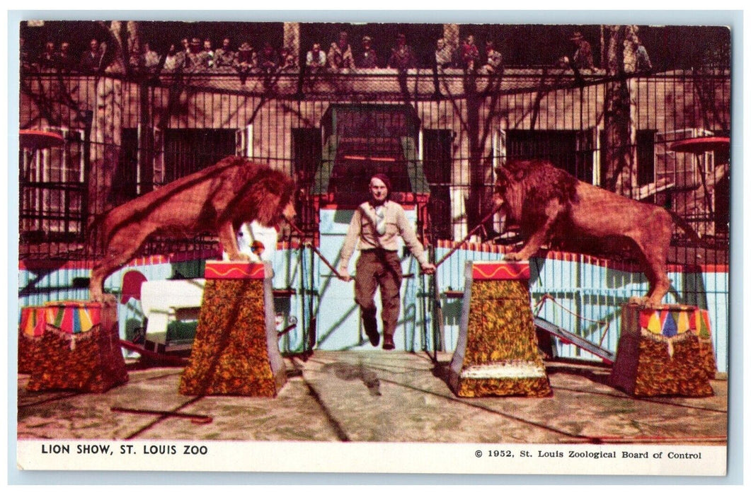 c1950's Lion Show St. Louis Zoo Saint Louis Missouri MO Vintage Postcard