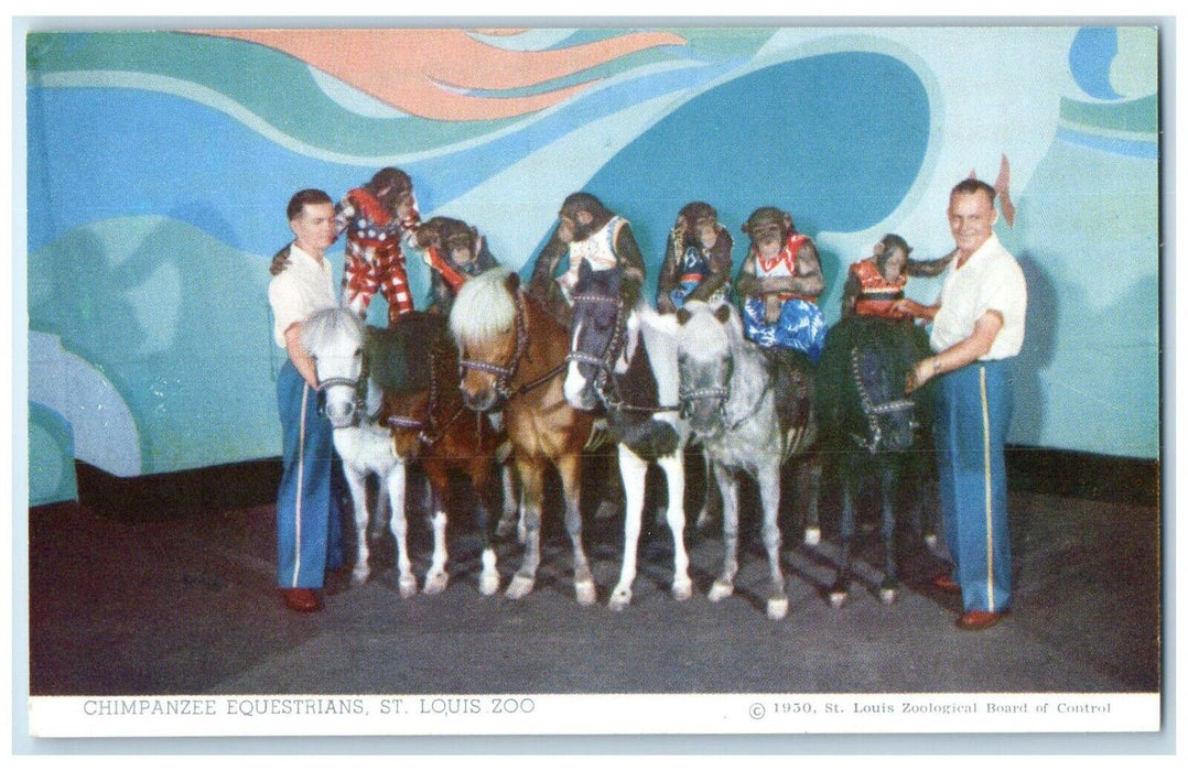 c1950's Chimpanzee Equestrians St. Louis Zoo Saint Louis Missouri MO Postcard