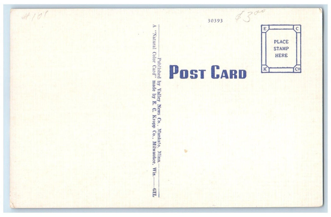 c1940 Rice County Court House Exterior Building Faribault Minnesota MN Postcard