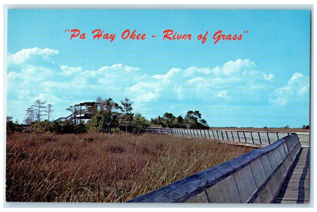 c1960 Pa Hay Okee Overlook Everglades National Park Pa Hay Okee Vintage Postcard