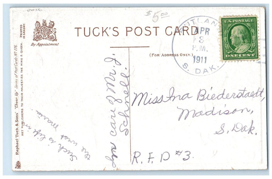 1911 Man Don't Mind Your Business Dog Modison SD Cheer Up Tuck's Dwig Postcard