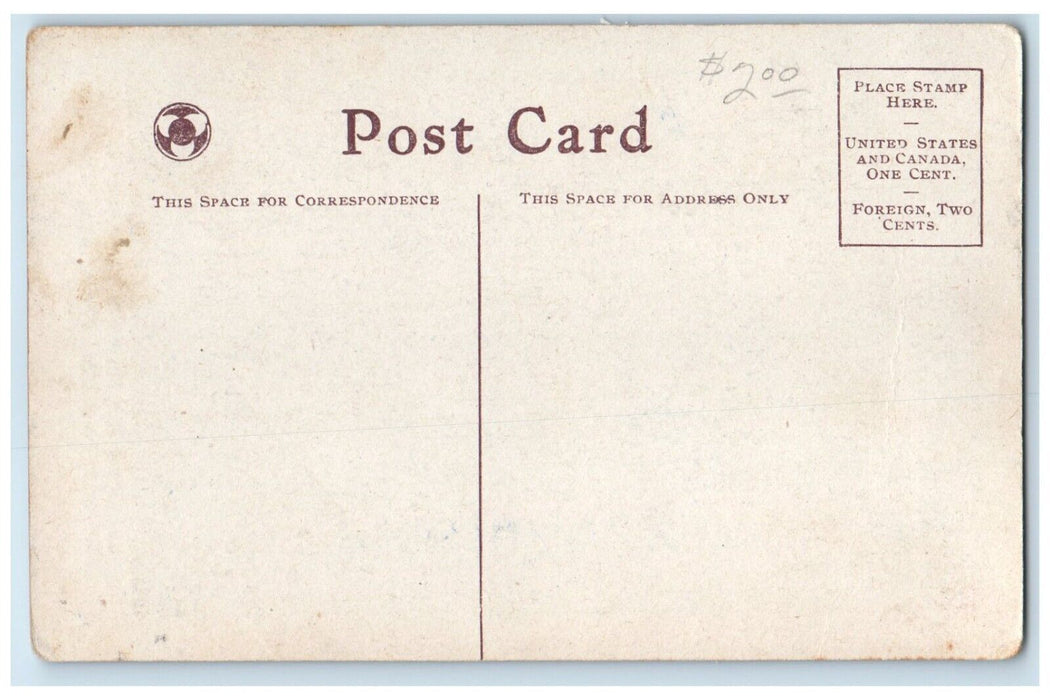 c1910's Couple Romance Spooners Delight Gee Honey Bug I'm Loony Antique Postcard