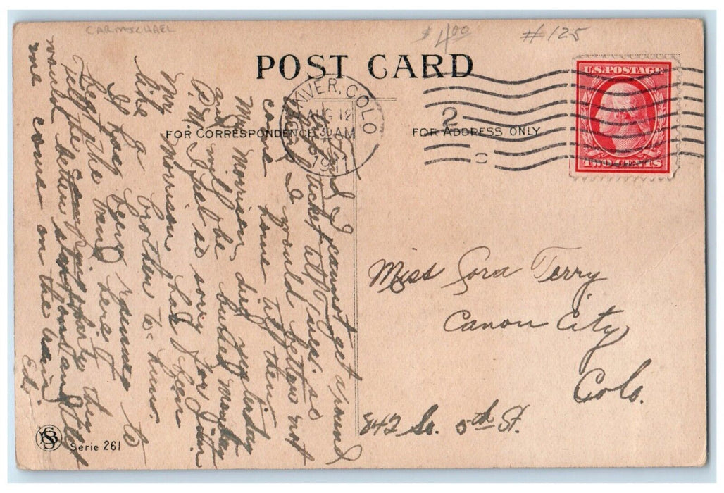 1911 Woman Widow Hat Would You Blame Me Carmichael Denver Colorado CO Postcard