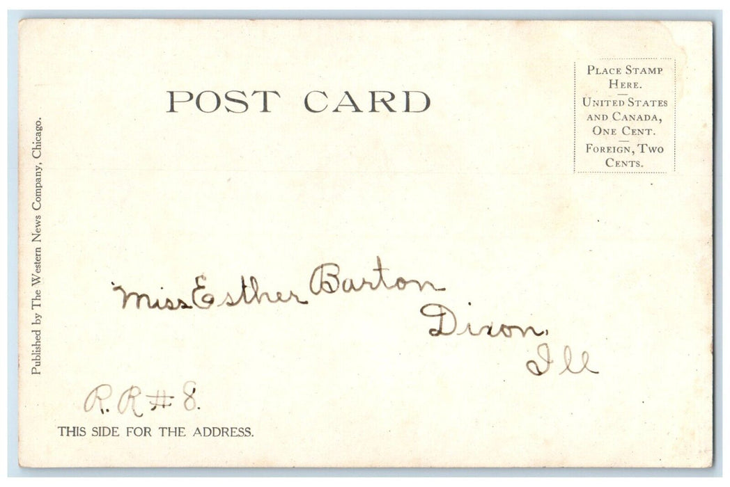 c1905 Summer Beauty Flowers Field Dixon Illinois IL Posted Antique Postcard
