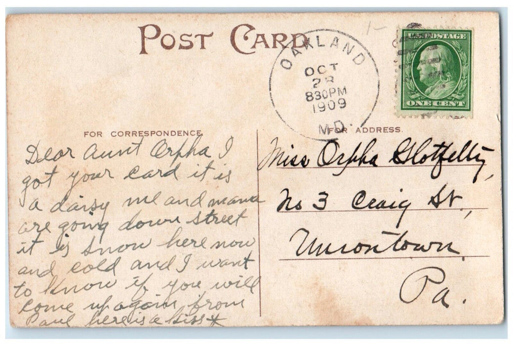 1909 Pretty Woman Curly Hair Lilies Flowers Oakland Maryland MD Antique Postcard