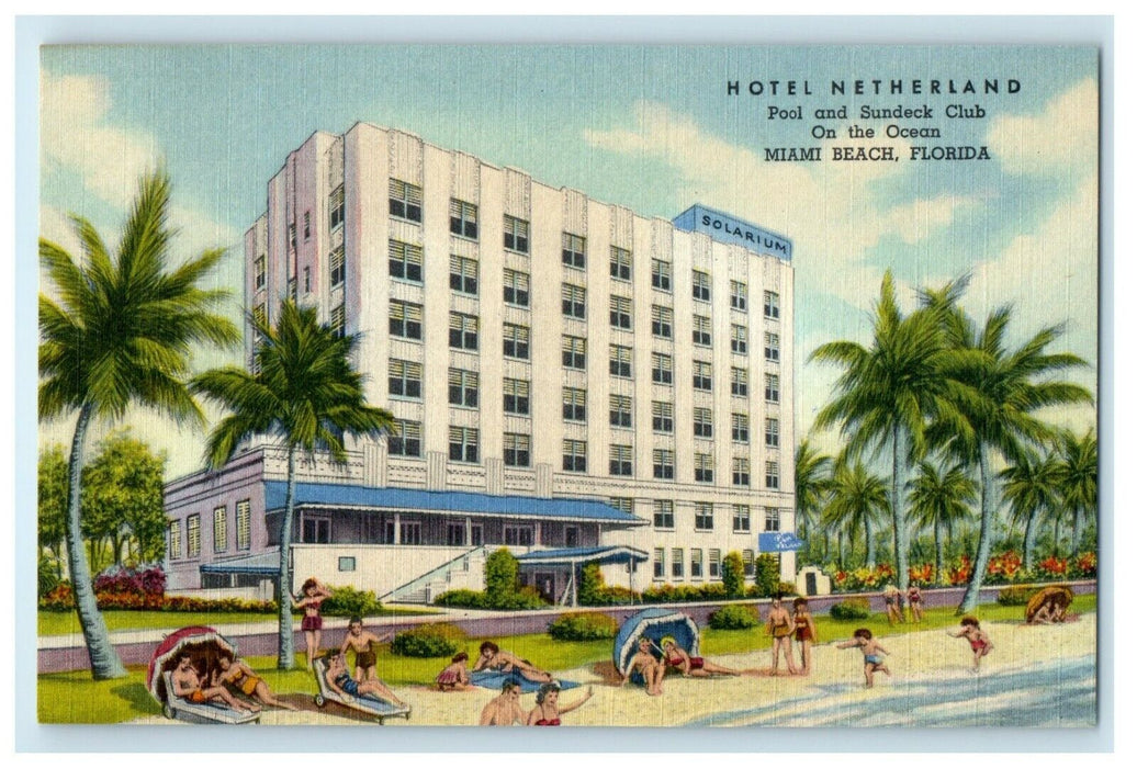 c1940's Hotel Netherland Pool Sundeck Club Miami Beach Florida FL Postcard