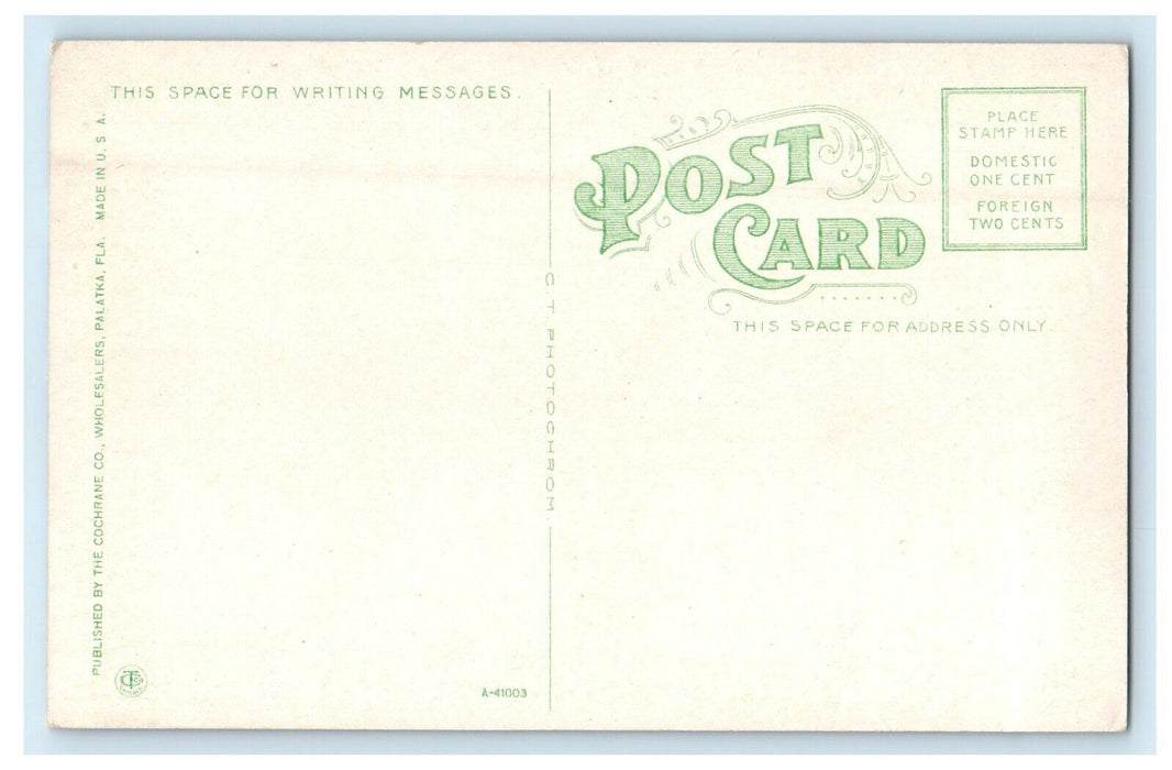 c1910's A Banana Plantation Florida FL Unposted Antique Postcard