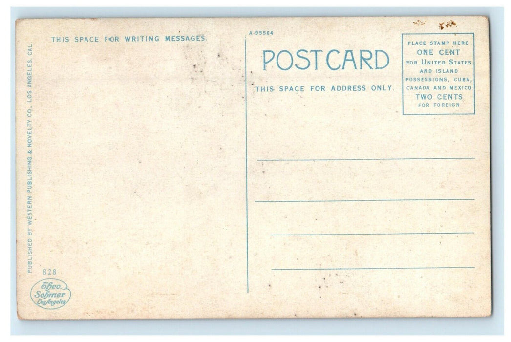 c1910's Residence Of Pola Negri Beverly Hills California CA Antique Postcard