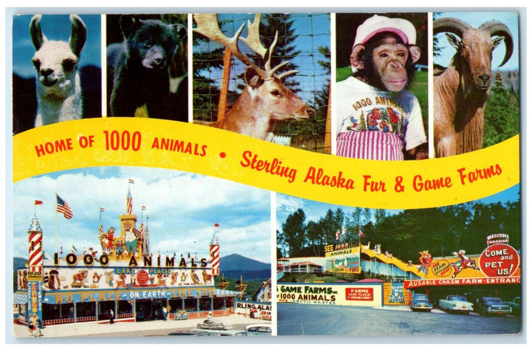 c1950s Home of 1000 Animals, Sterling Alaska Fur & Game Farms Inc. NY Postcard