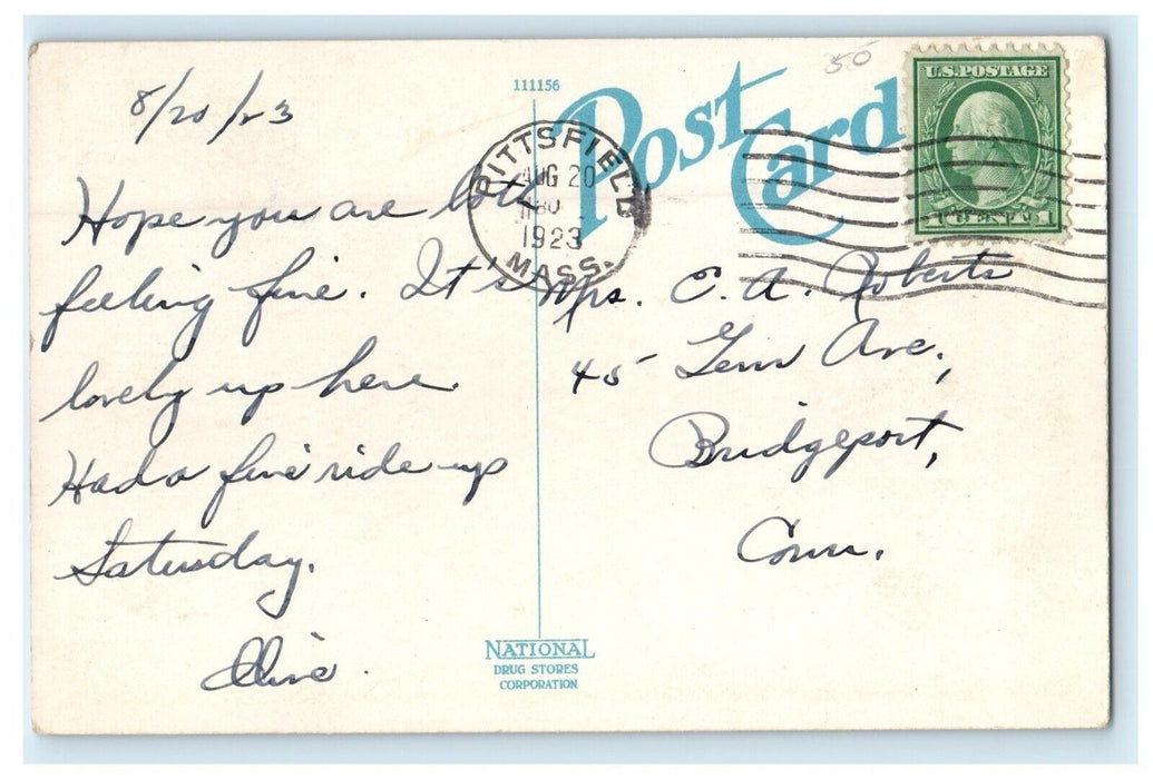 1923 Public Library Street View Pittsfield Massachusetts MA Vintage Postcard