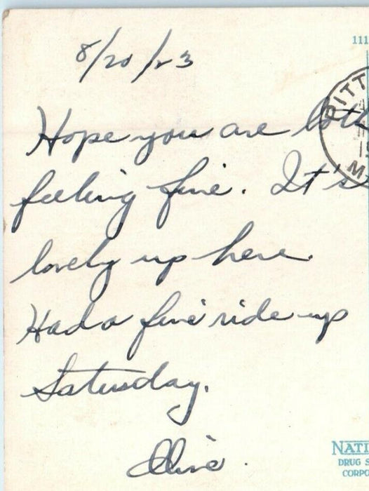 1923 Public Library Street View Pittsfield Massachusetts MA Vintage Postcard