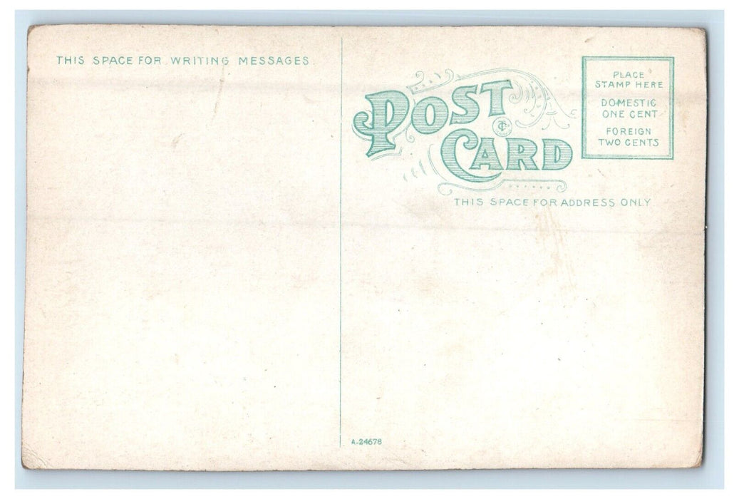c1910's Boat Landing At Lewiston New York NY Unposted Antique Postcard