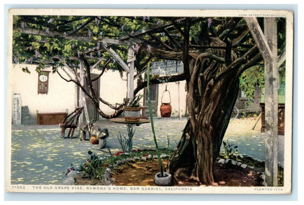 1919 The Old Grape Vine Ramona's Home San Gabriel California CA Postcard