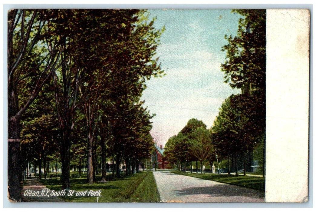 1908 Scenic View South St & Park Road Trees Olean New York NY Antique Postcard