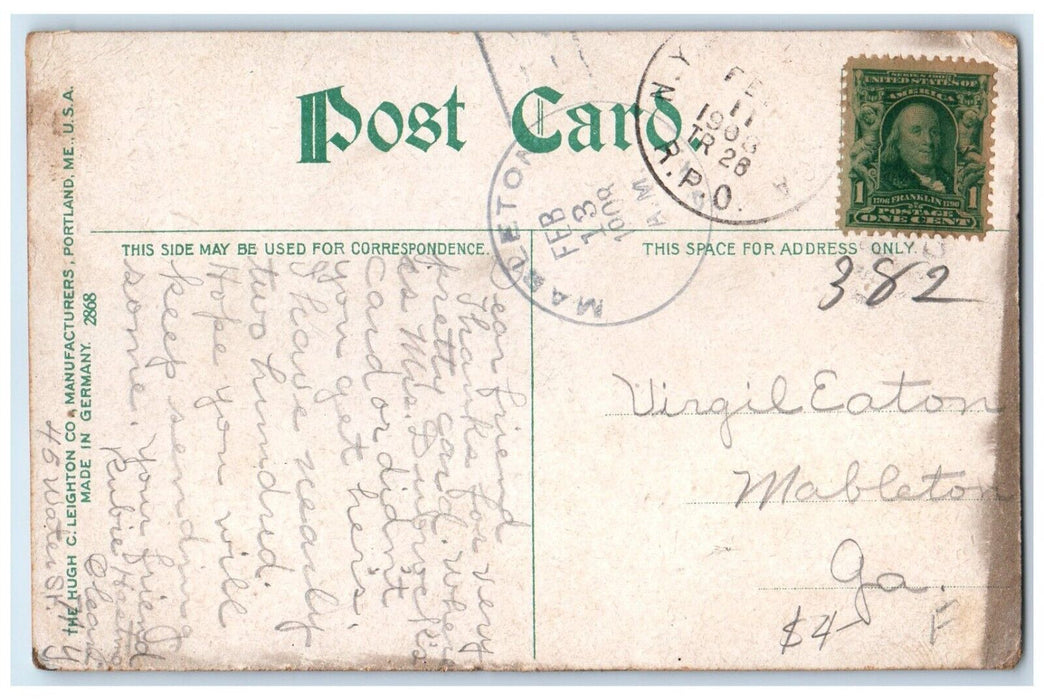 1908 Scenic View South St & Park Road Trees Olean New York NY Antique Postcard