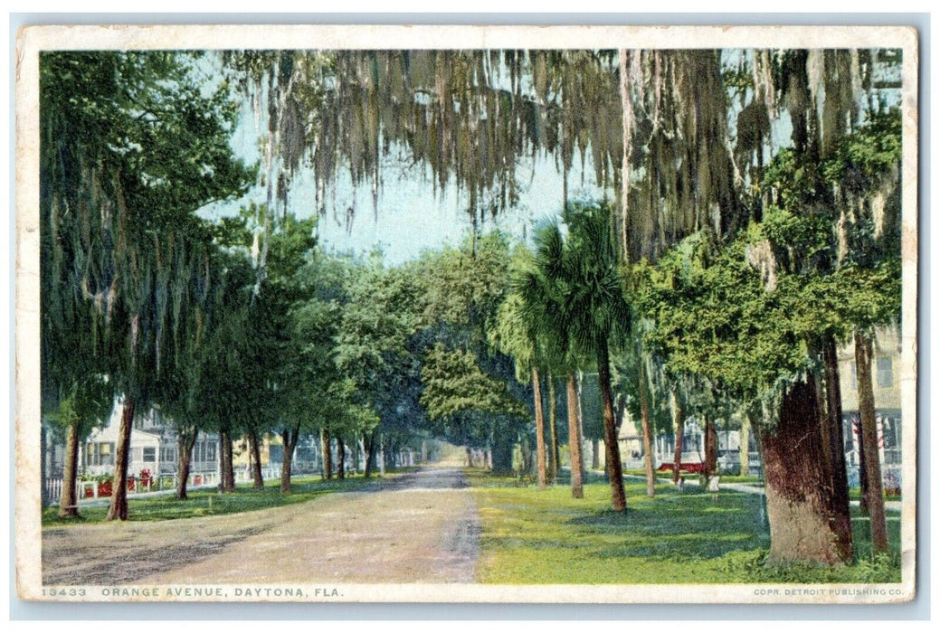 c1910 Scenic View Orange Avenue Road Daytona Florida Unposted Phostint Postcard